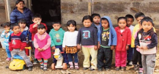 desnutrición crónica en Ecuador