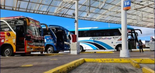 FENACOTIP: Los diálogos con el Gobierno no han funcionado