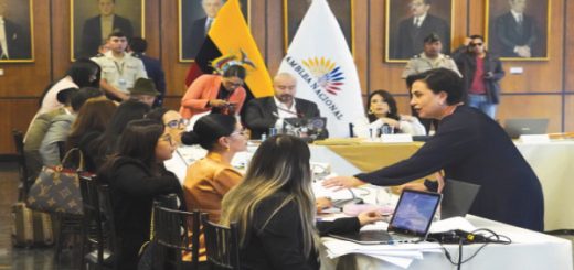 Gabriela Sommerfeld acusada de incumplimiento de funciones