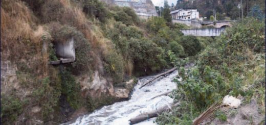 Una "gran noticia": histórico caso judicial concede a río ecuatoriano el derecho a no ser contaminado