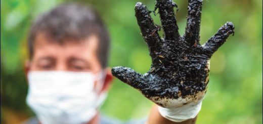 En Ecuador nacen los "toxitours" por contaminación en el Amazonas