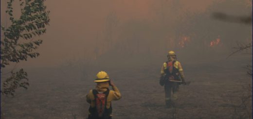 Las multas por ocasionar incendios forestales en Quito van desde los USD 460 hasta los USD 34.500 dólares