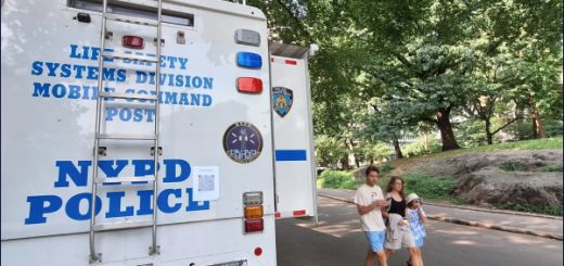 Parque Central ola de asaltos