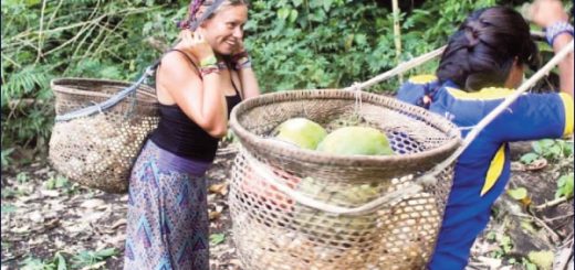 Amazonía de Ecuador busca extender sus sabores y productos al mundo