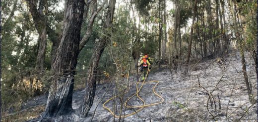 Fortalecer la vigilancia comunitaria es indispensable para enfrentar los incendios en Quito, señala experto en riesgos