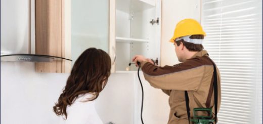 virus del Nilo en NY Occidental fumigación de mosquitos