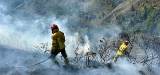 Incendio forestal en Quilanga: 12 días de fuego continuo dejan incuantificables pérdidas económicas y ambientales