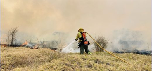 Pabel Muñoz advierte multas de hasta USD 34.500