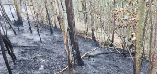 Quito ha soportado 261 incendios forestales durante el verano; casi la totalidad fueron provocados