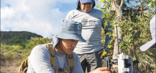 Leonardo DiCaprio, IA y drones, para restaurar la isla Floreana, en Galápagos