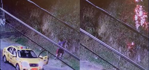 Cámara captó a un taxista provocando incendio forestal en el norte de Quito