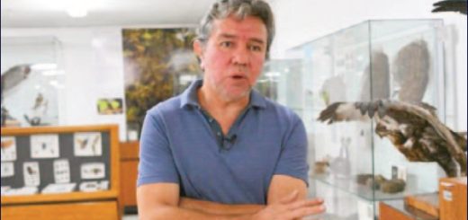 Ciencia bajo amenaza: la violencia narco impacta las investigaciones en Ecuador