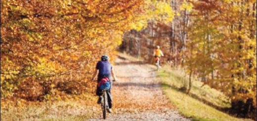 Vitasupport recomienda cambios simples en el estilo de vida