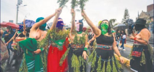 despenalización total del aborto en Ecuador