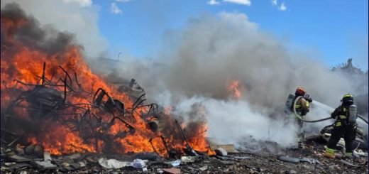 Ley para combatir el terrorismo ambiental busca sancionar con penas de15 a 25 años a responsables de incendios forestales
